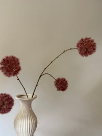 Zijden Allium – Dusty Rose