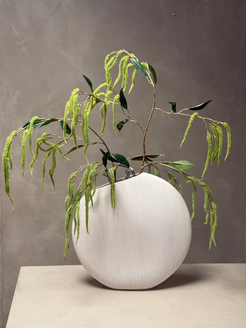Amaranthus takken