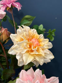 Dalia geel - Real touch