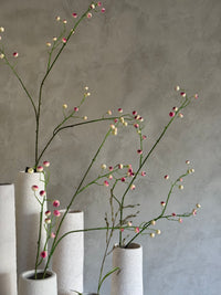 Kunst bes Rosa Canina S wit-L12B6H100CM