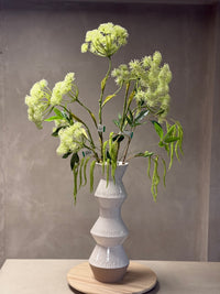 Amaranthus takken