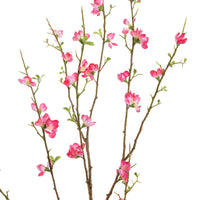 X LARGE BLOSSOM 130CM BEAUTY