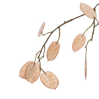 PRE -ORDER LARGE SILVER DOLLAR 110CM BEIGE