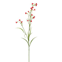 MINI NICOTIANA 75CM RED