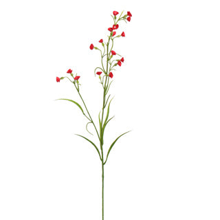 MINI NICOTIANA 75CM RED