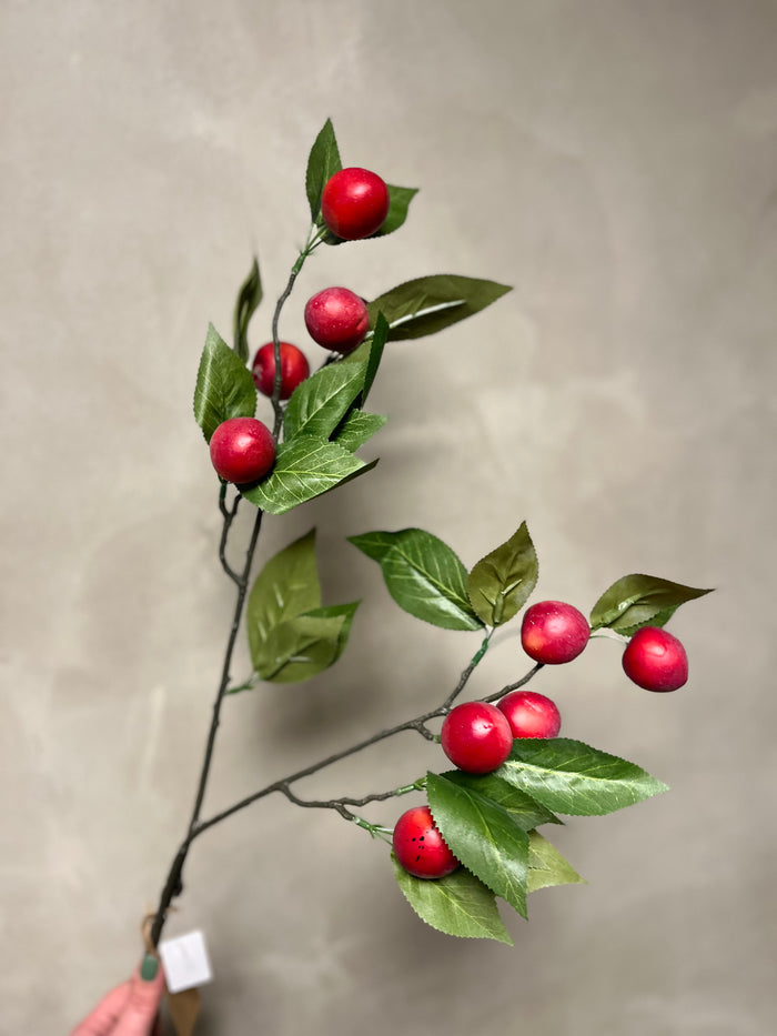 Plum Claude red