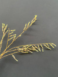 STACHYURUS SPRAY 106CM GREEN