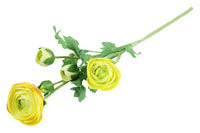 Ranunculus S geel -L15B15H53CM