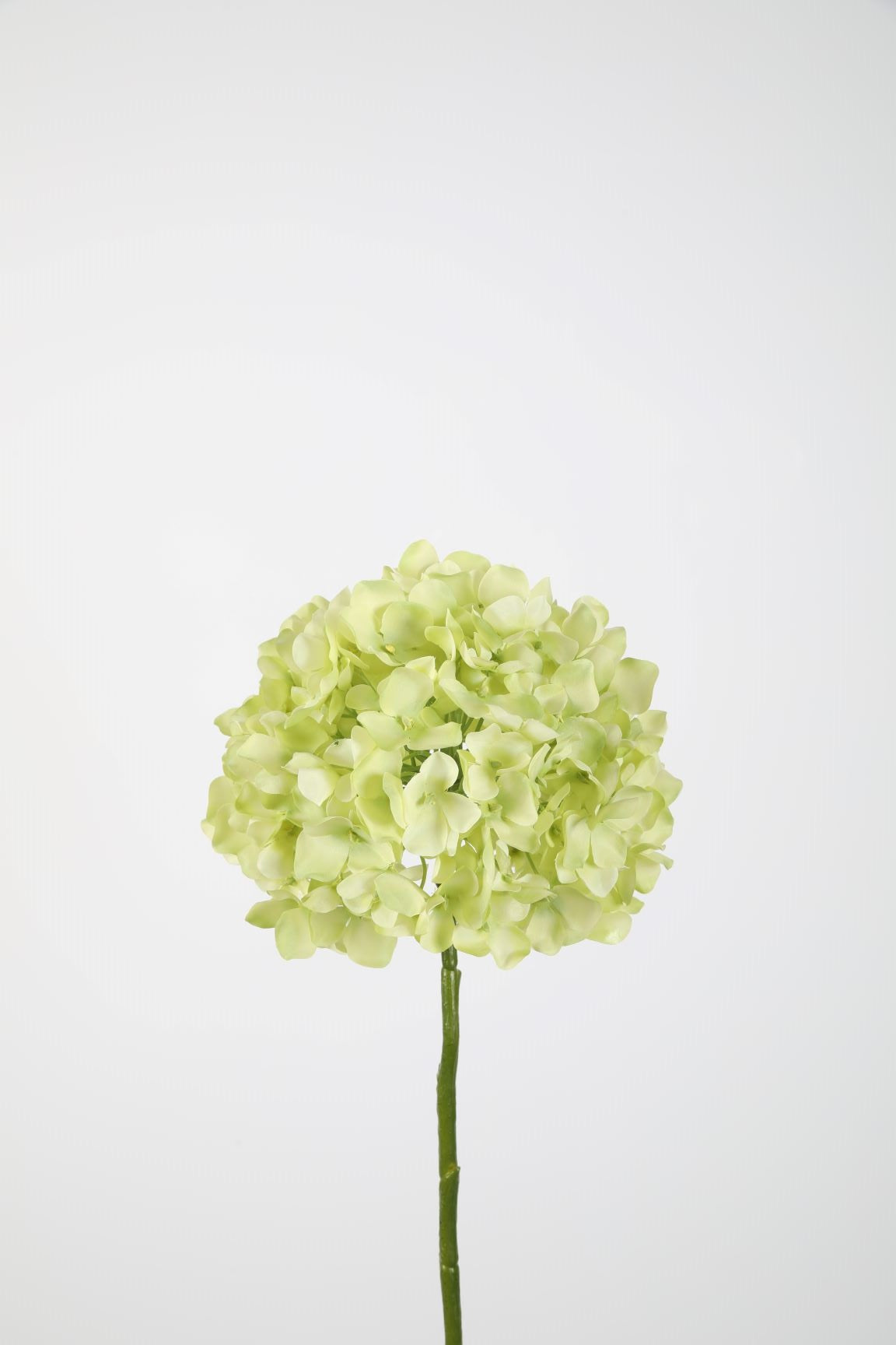 Hydrangea Stem 74cm