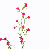 MINI NICOTIANA 75CM BEAUTY