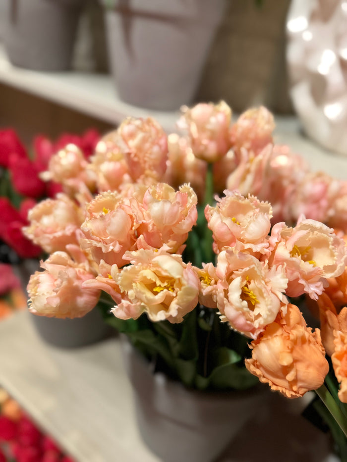 Parkiet tulpen roze/wit