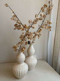 Zijden Lunaria Tak – Champagne Gold