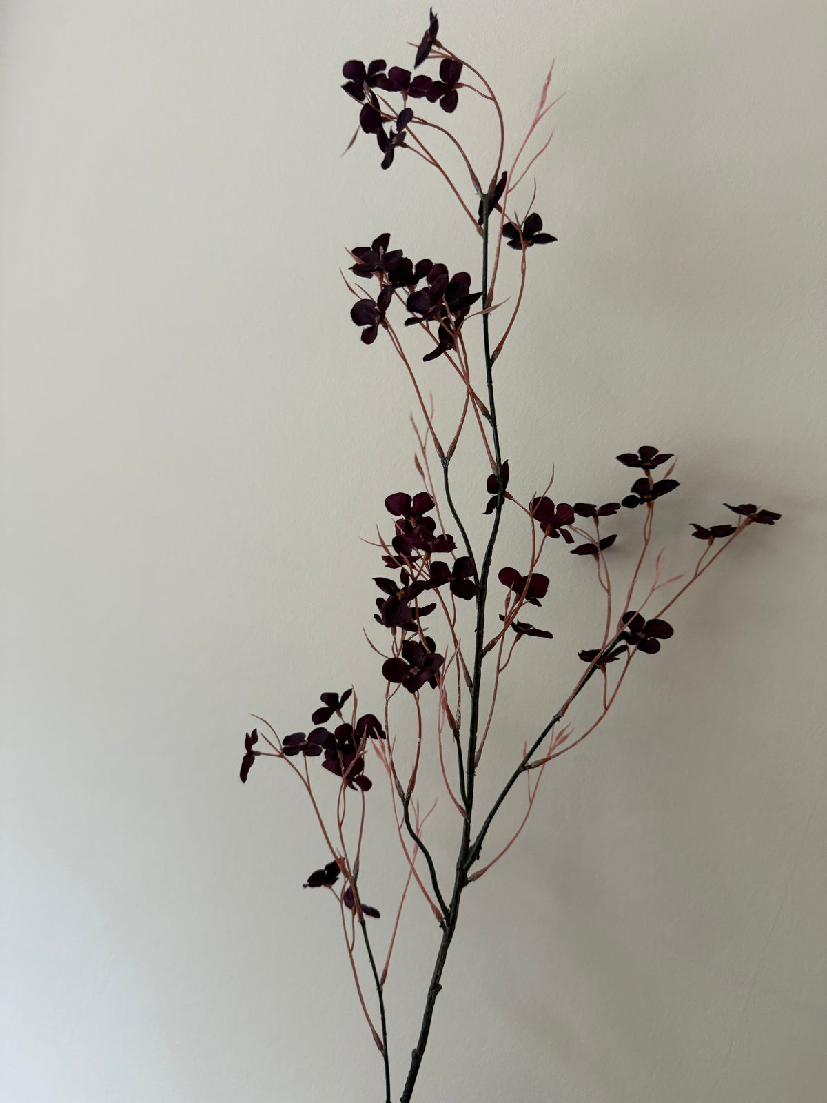 Zijden Bloesemtak – Deep Purple