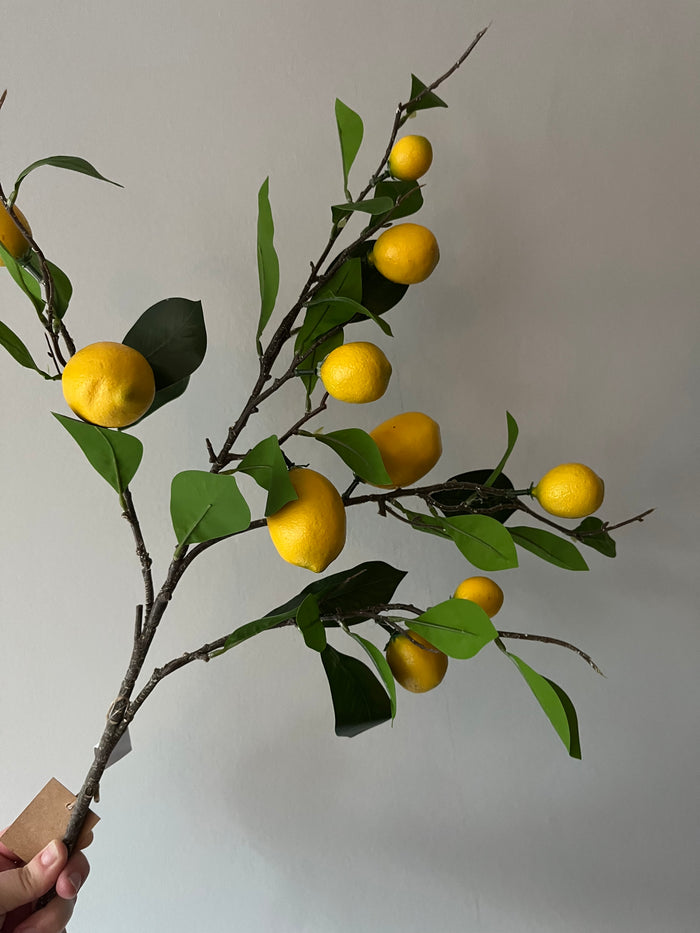 Lemon Sweet 80cm