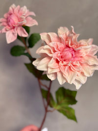 Dalia licht roze