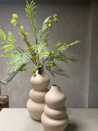 Vaas Evie S creme