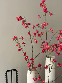 Bittersweet pink