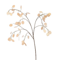 PRE -ORDER LARGE SILVER DOLLAR 110CM BEIGE