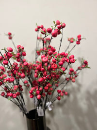 Apple berry pink