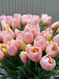 Tulpen roze lang