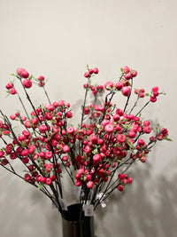 Apple berry pink