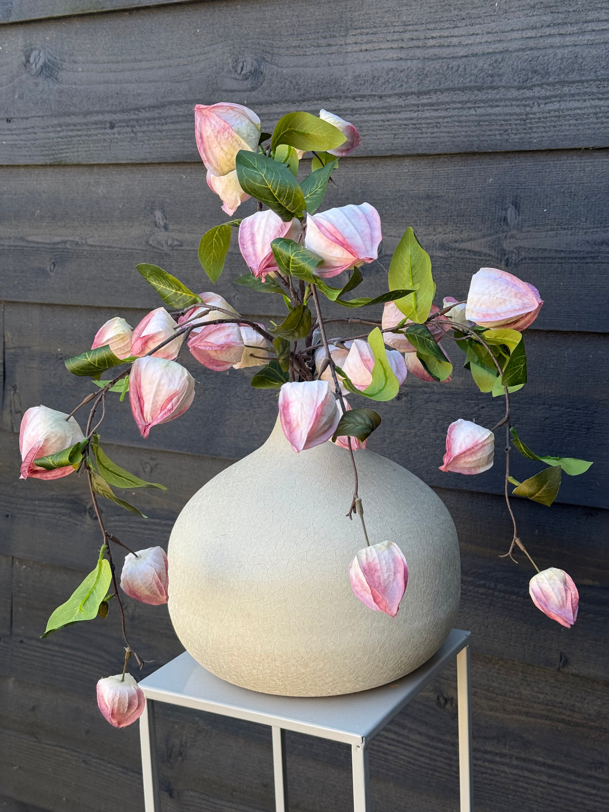 Vaas Evie Bulb S creme