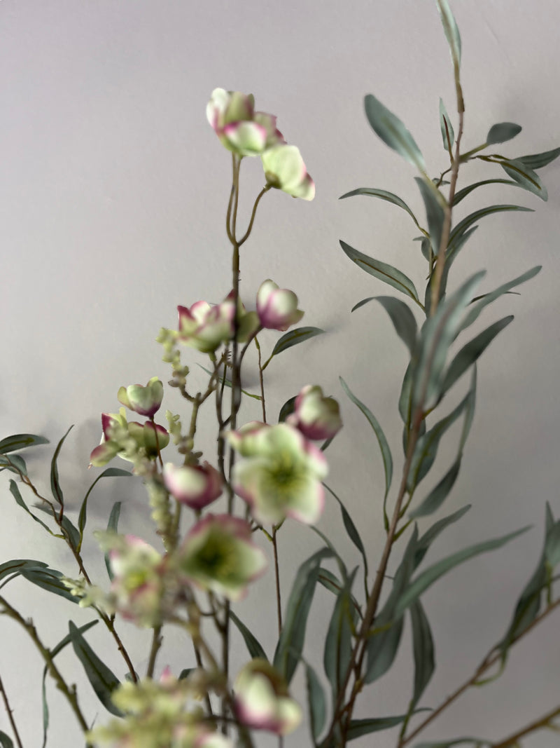 Zijdenboeket Helleborus