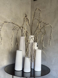 Tak treur/hang Corylus XL crèm-6x18x132CM
824753