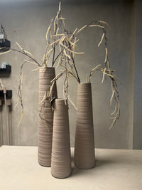 Tak treur/hang Corylus XL crèm-6x18x132CM
824753