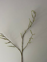 STACHYURUS SPRAY 106CM GREEN