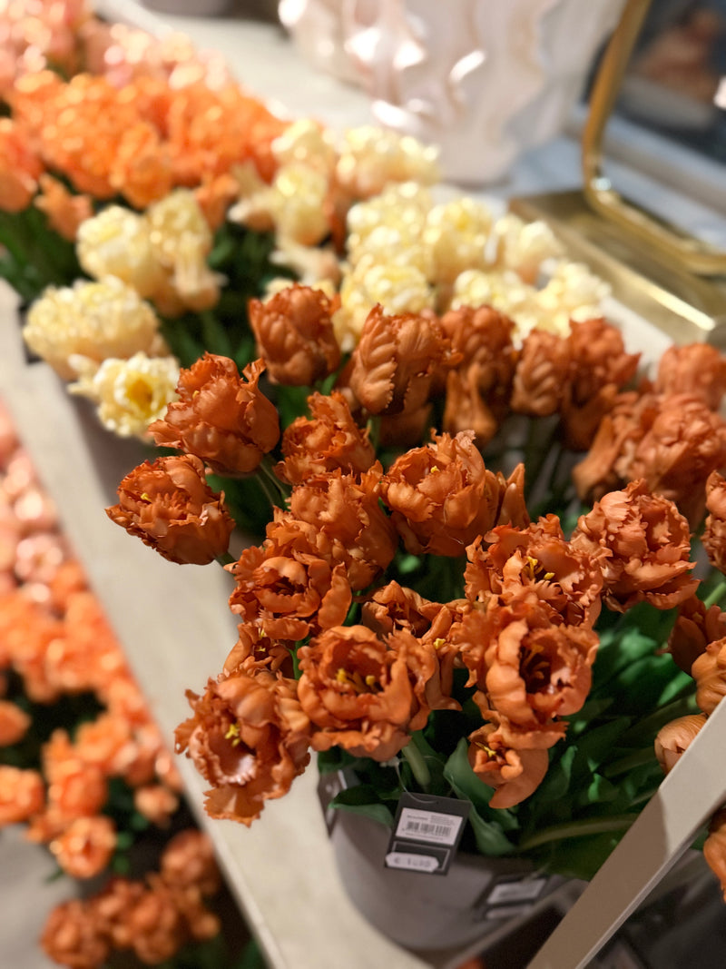 Parkiet tulpen oranje/bruin