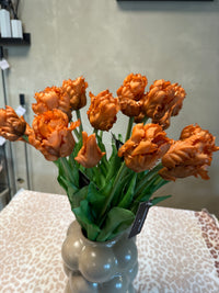 Parkiet tulpen oranje/bruin