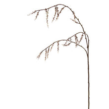 Afbeelding in Gallery-weergave laden, STACHYURUS SPRAY WHITE 106CM
