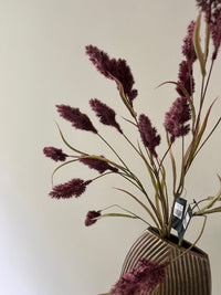 Soldiago spray purple