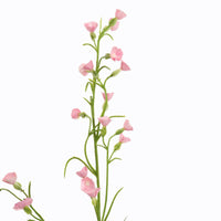 MINI NICOTIANA 75CM PINK