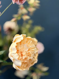 Zijdenboeket Timeless Romance