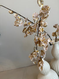 Zijden Lunaria Tak – Champagne Gold