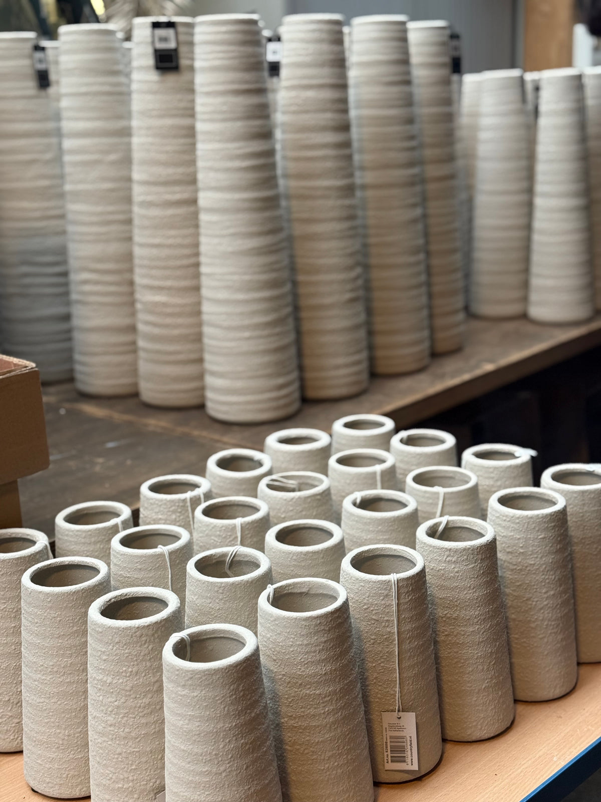 Vaas Nohr XS 20cm hg