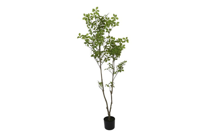 Kunst plant Mahonia S groen-L60B60H155CM