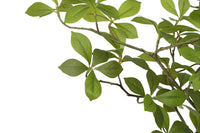 Kunst plant Mahonia S groen-L60B60H155CM