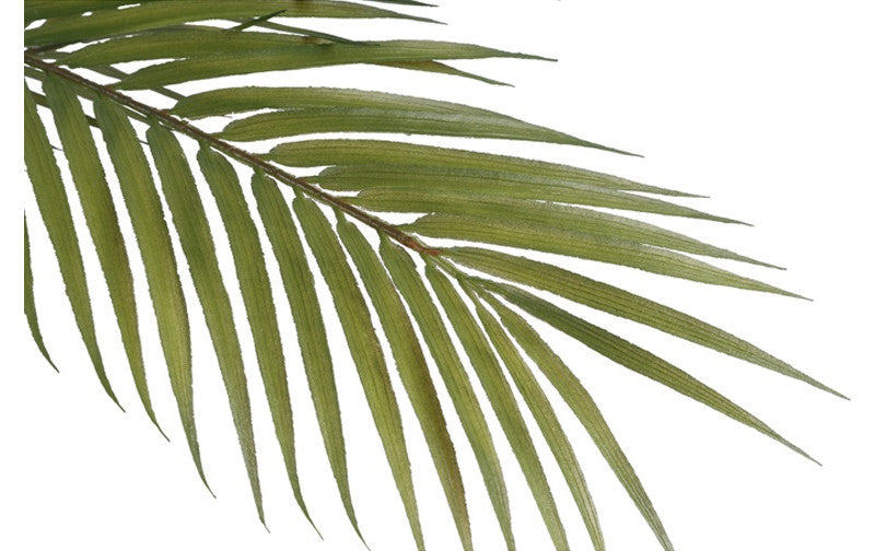 Kunst plant Areca M groen-L55B55H153CM