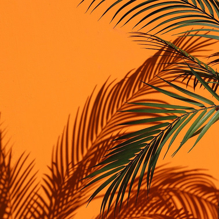 Kunst plant Areca M groen-L55B55H153CM