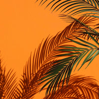 Kunst plant Areca M groen-L55B55H153CM