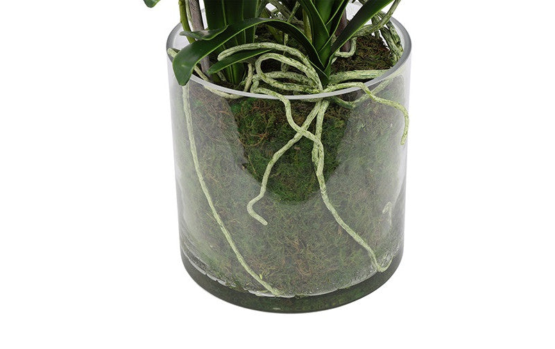 Kunst bloem in glazen pot Oncidium w-L65B65H125CM