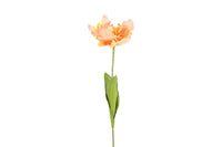 Kunst bloem Tulp Tulipa Parrot Karin S geel/zalm-L15B15H66CM