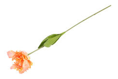 Kunst bloem Tulp Tulipa Parrot Karin S geel/zalm-L15B15H66CM