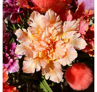 Kunst bloem Tulp Tulipa Parrot Karin S geel/zalm-L15B15H66CM