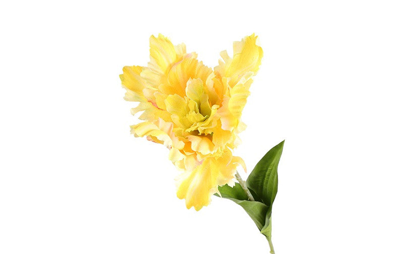 Kunst bloem Tulp Tulipa Parrot Karin S