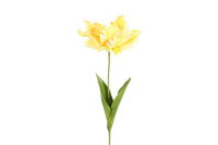 Kunst bloem Tulp Tulipa Parrot Karin L-L18B18H66CM