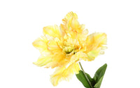 Kunst bloem Tulp Tulipa Parrot Karin L-L18B18H66CM